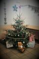 Weihnachtsbaum