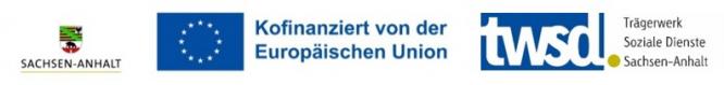 logo_leiste_esf_gefoerderte_ssa_(002).jpg